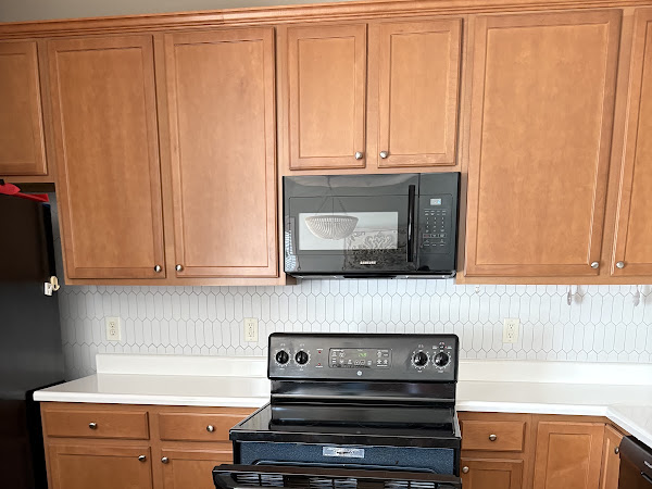 Customer photo 4 from Carol Berry's Renov8 review
